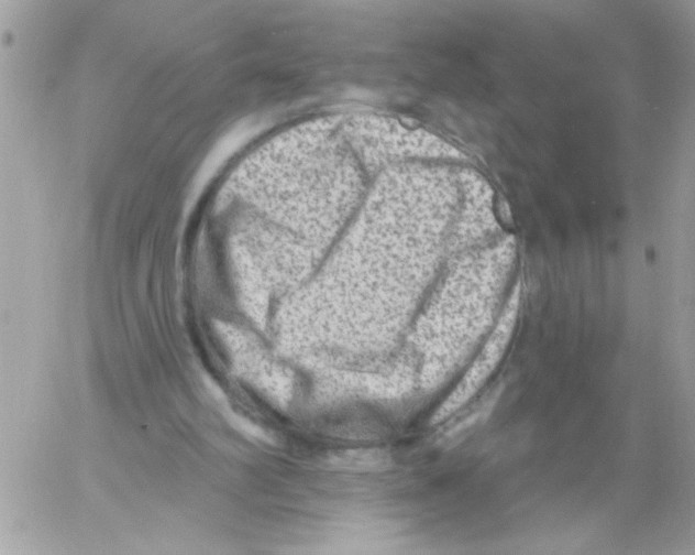 X0000061730102200512302156