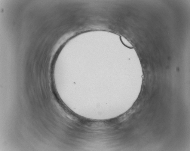 X0000061730104200512302156