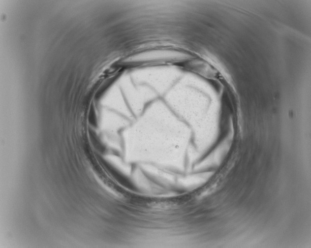 X0000061730105200512302156