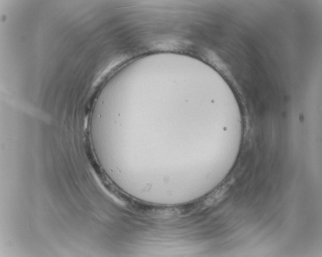 X0000061730106200512302156