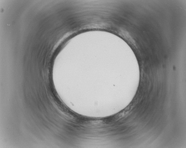 X0000061730108200512302156