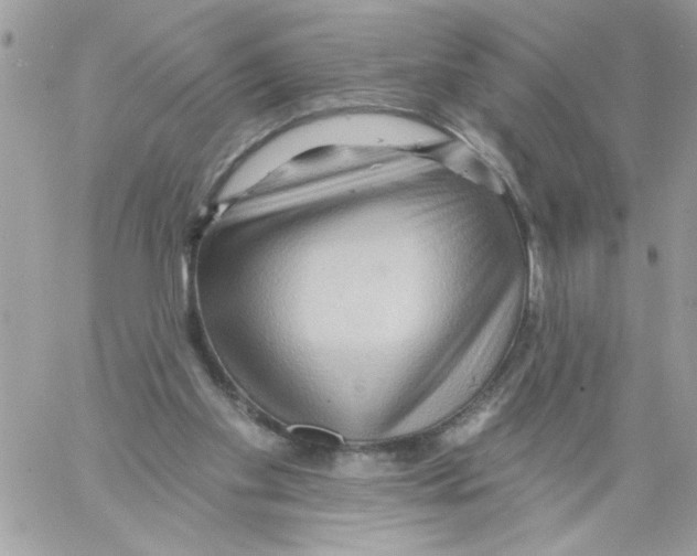 X0000061730109200512302156