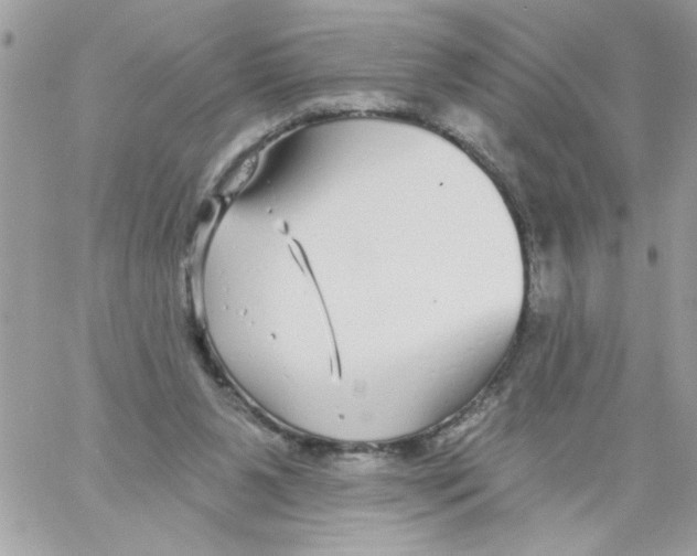 X0000061730111200512302156