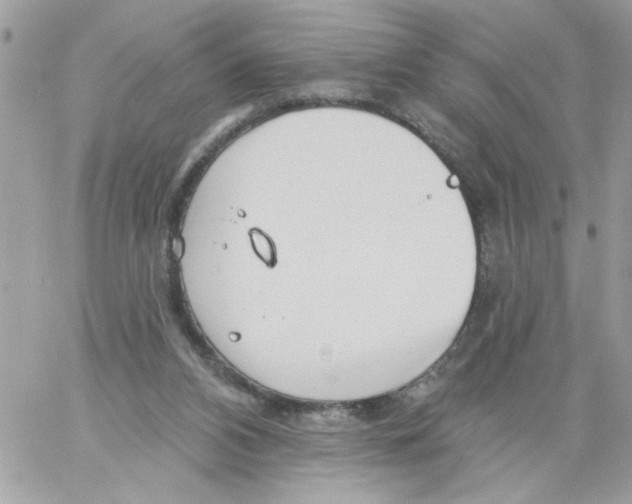 X0000061730112200512302156