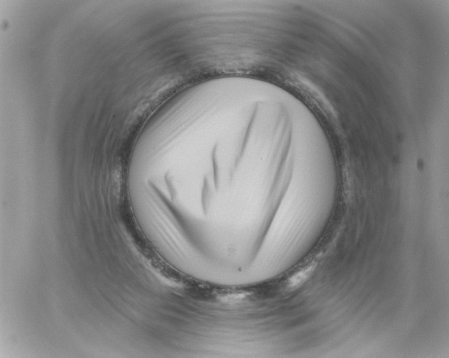 X0000061730113200512302156