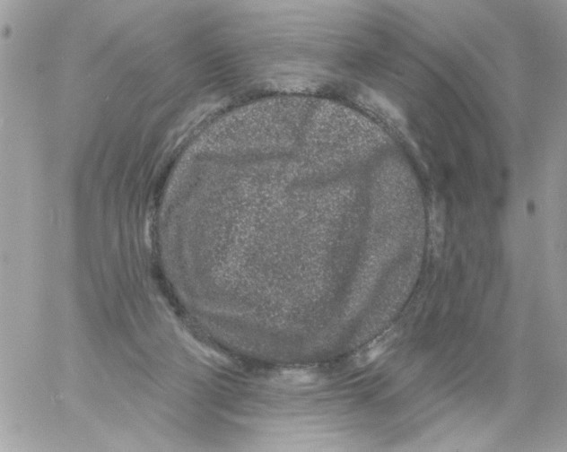 X0000061730114200512302156