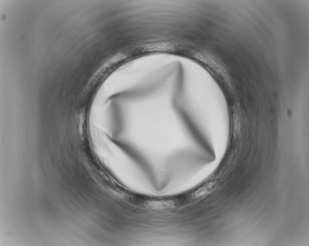 X0000061730115200512302156