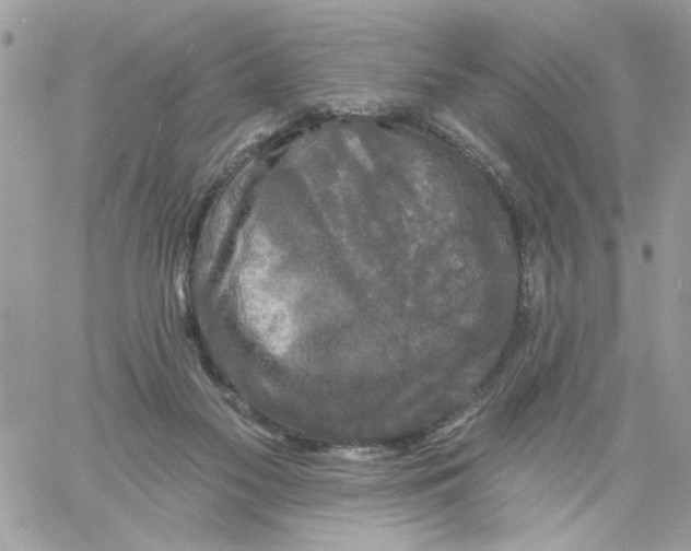 X0000061730117200512302156