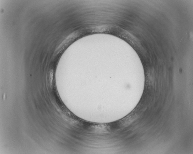 X0000061730118200512302156