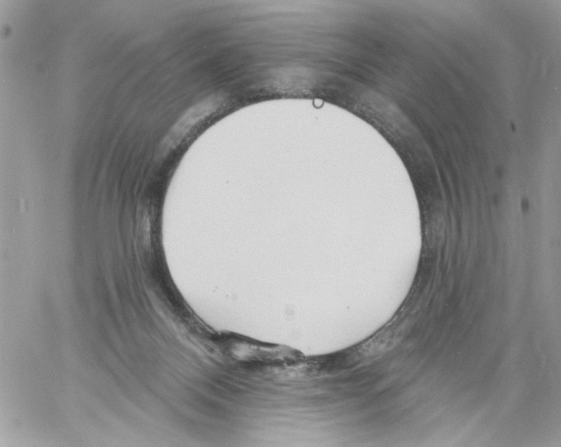 X0000061730120200512302156