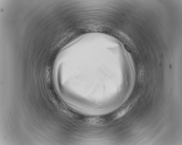 X0000061730121200512302156