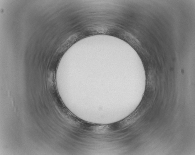 X0000061730122200512302156