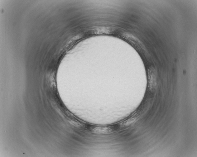 X0000061730123200512302156