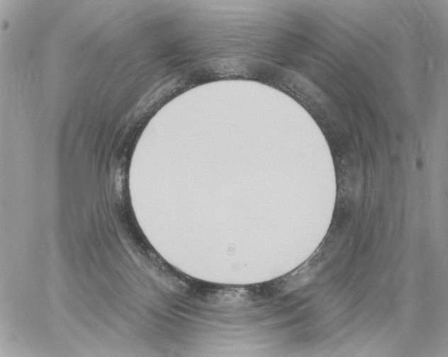 X0000061730124200512302155