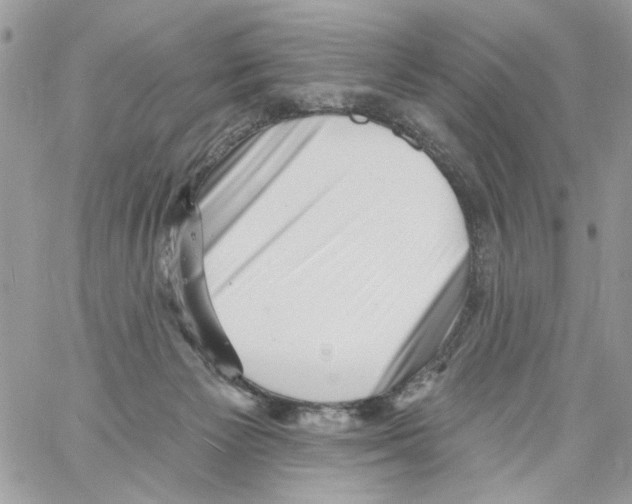 X0000061730125200512302155