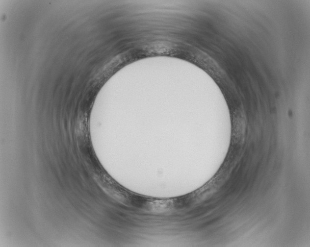 X0000061730126200512302155