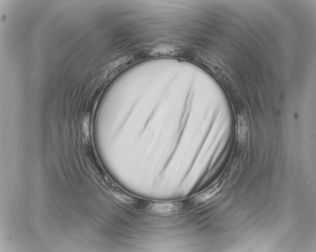 X0000061730127200512302155