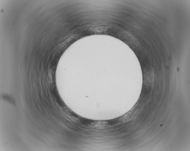 X0000061730128200512302155