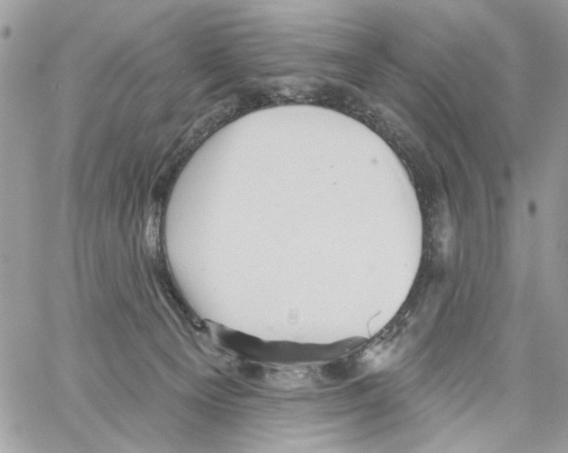 X0000061730129200512302155