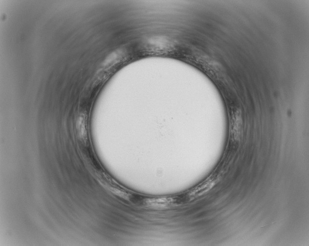 X0000061730131200512302155