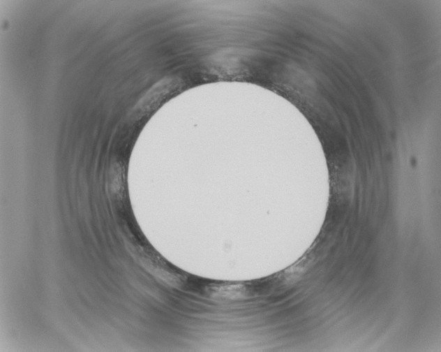 X0000061730132200512302155