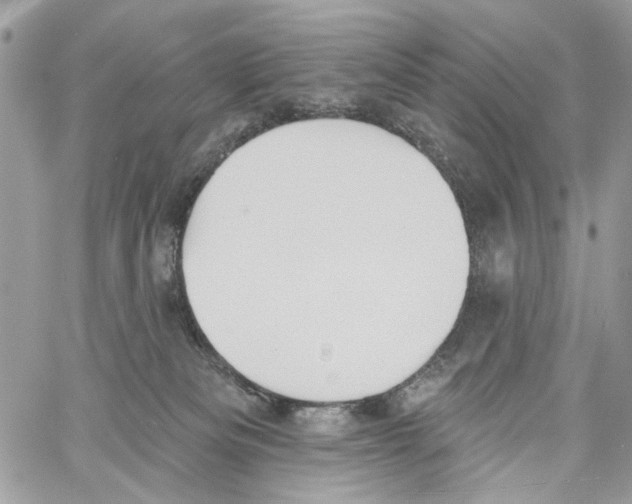 X0000061730133200512302155