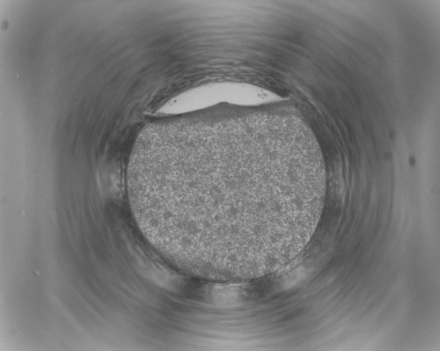 X0000061730134200512302155