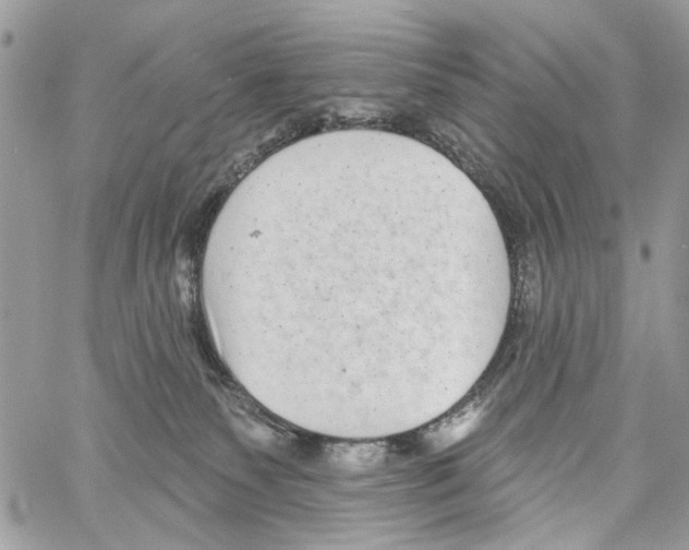 X0000061730135200512302155