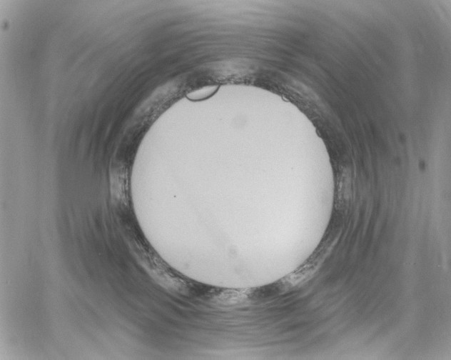 X0000061730138200512302155