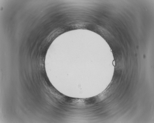 X0000061730140200512302155