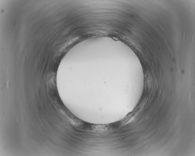 X0000061730141200512302155