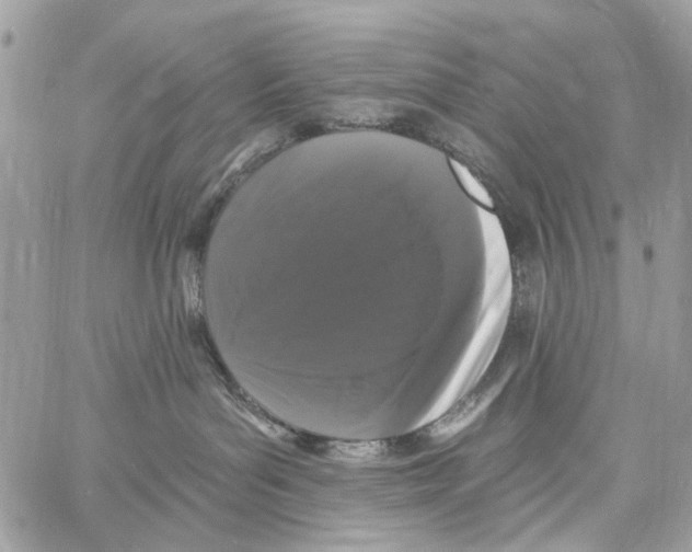 X0000061730143200512302155