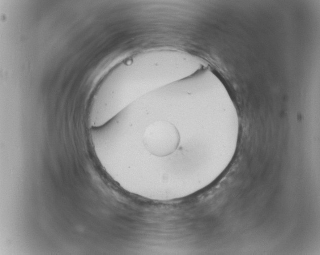 X0000061730146200512302154