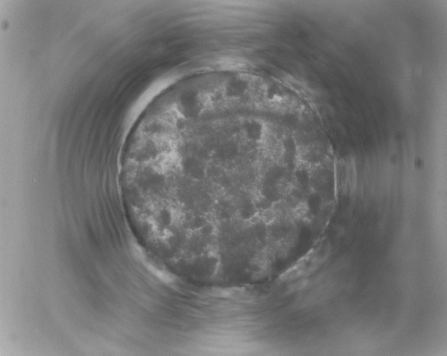 X0000061730147200512302154