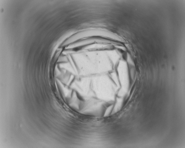 X0000061730148200512302154