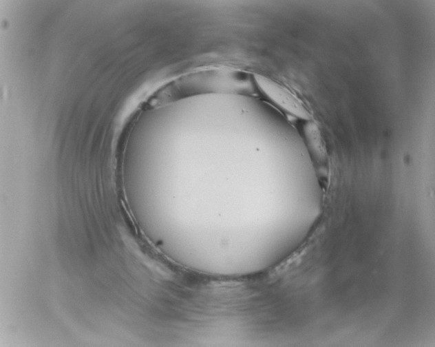 X0000061730150200512302154