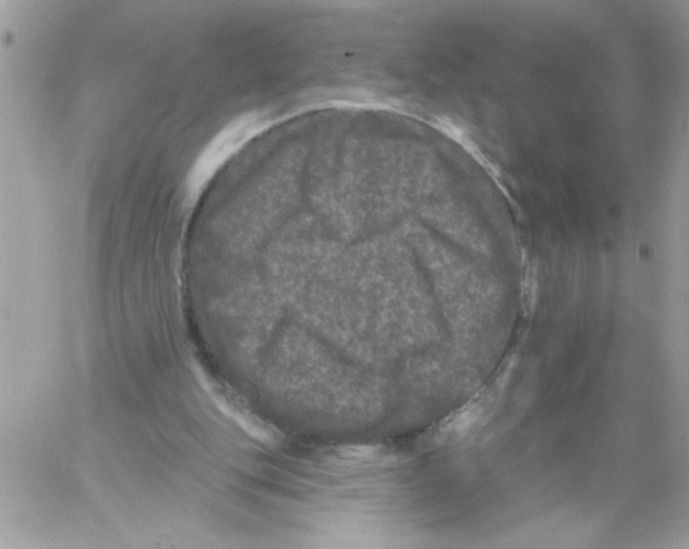 X0000061730151200512302154