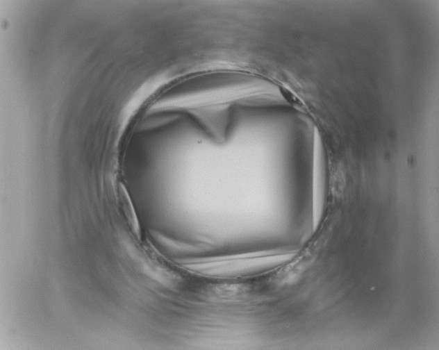 X0000061730152200512302154