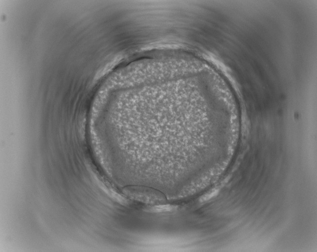 X0000061730153200512302154