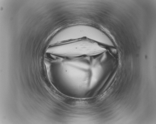 X0000061730154200512302155