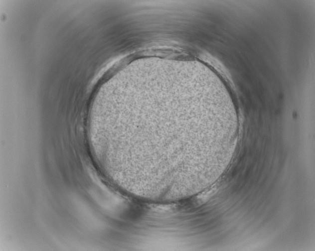 X0000061730155200512302155