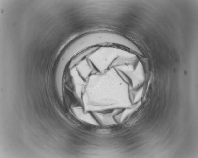 X0000061730156200512302155