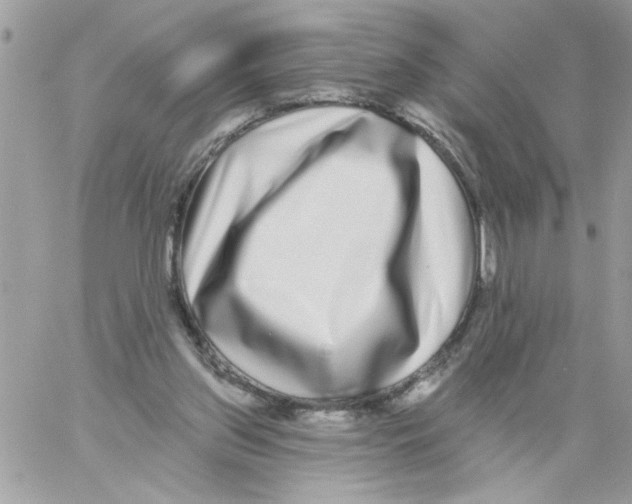 X0000061730157200512302155