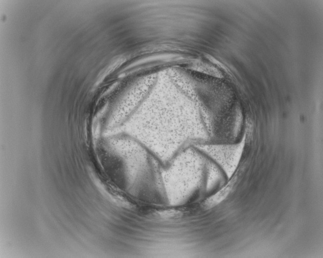 X0000061730158200512302155