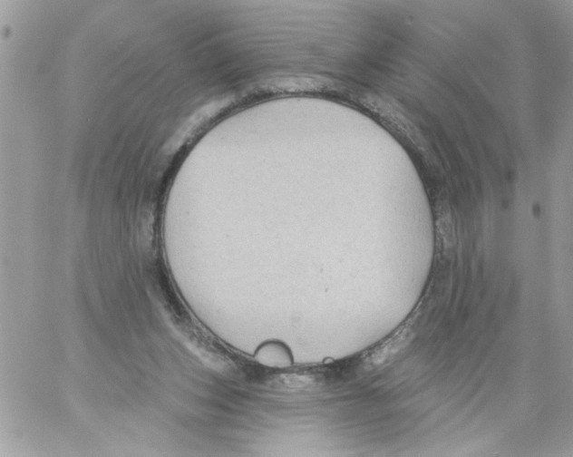 X0000061730159200512302155