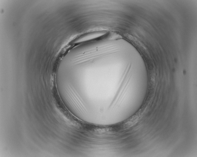 X0000061730160200512302155