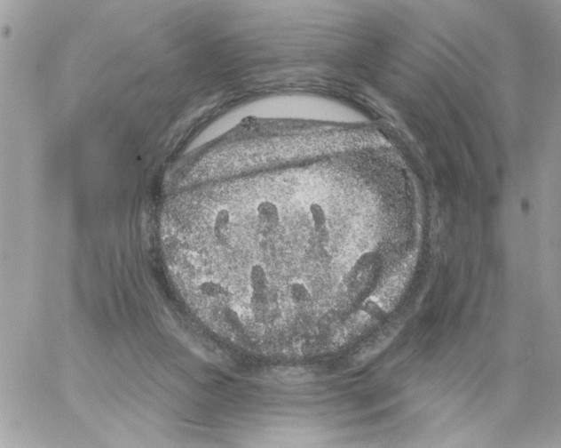 X0000061730161200512302155