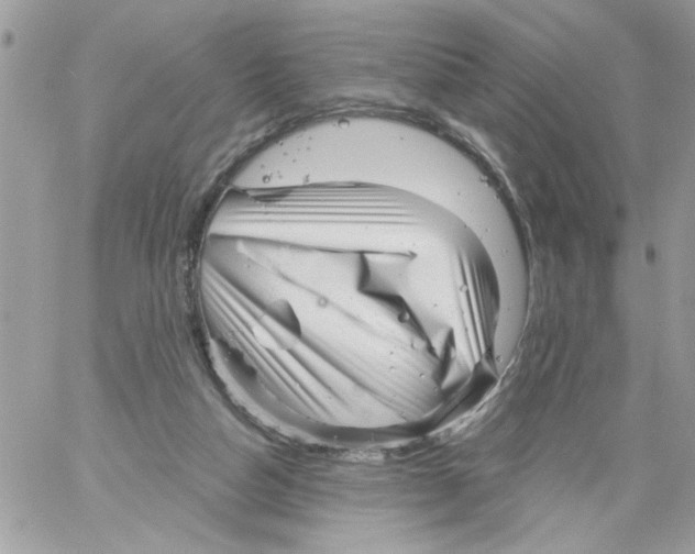 X0000061730162200512302155