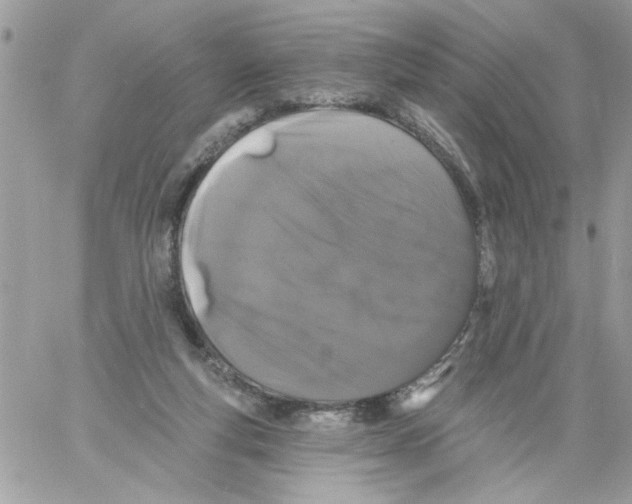 X0000061730163200512302155