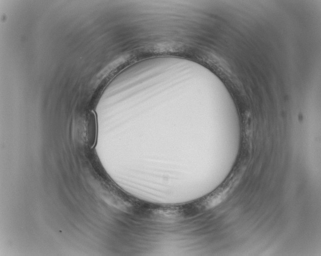 X0000061730164200512302155